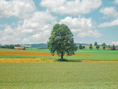 观后感你好李焕英