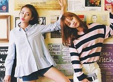 《狐狸与我》初中观后感