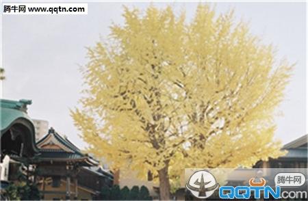 春风化雨教师观后感