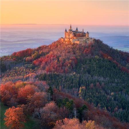 海洋的朋友影评 海洋馆游后感 简短