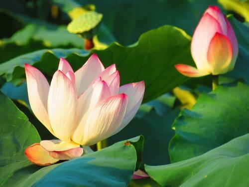 明天过后观后感作文 小学生观后感400字