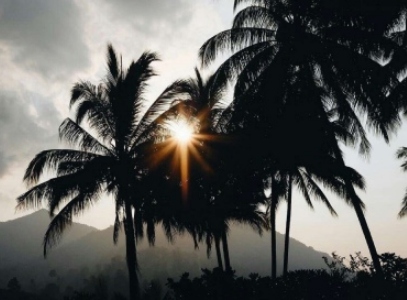 《港珠澳大桥》观后感