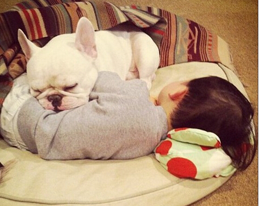 肖申克的救赎读后感(通用25篇)