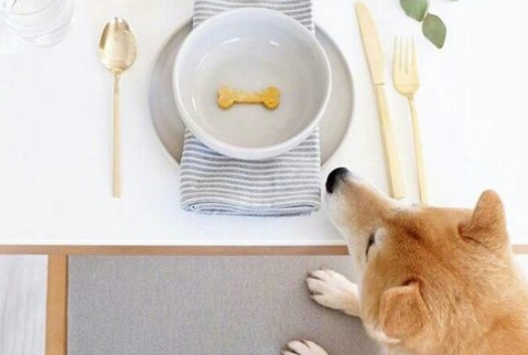 2019主持人大赛官网首页 主持人大赛观后感