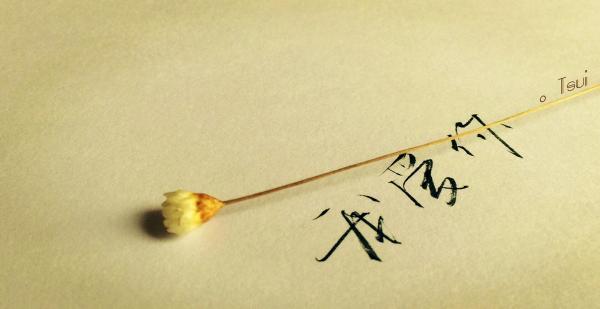 六一<a href=/baqi/6640.html target=_blank class=infotextkey>儿童</a>节晚会观后感800字