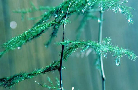 感动<a href=/shanggan/34742.html target=_blank class=infotextkey>中国</a>人物观后感1000字