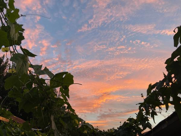 电影大国粮仓观后感作文2022