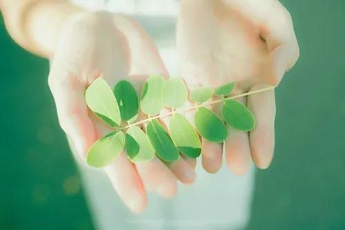 观《将<a href=/pengyouquan/6714.html target=_blank class=infotextkey>爱情</a>进行到底》有感