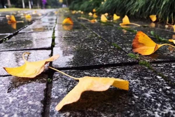 励志电影观后感