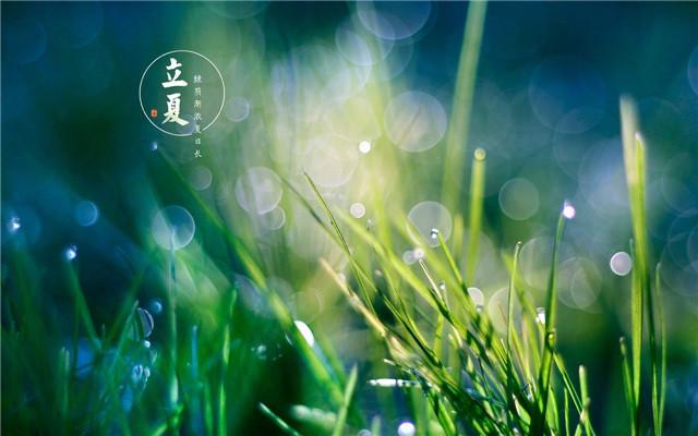 淘气包马小跳观后感