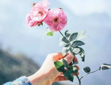 教育电影观后感(<a href=/baqi/34092.html target=_blank class=infotextkey>精选</a>31篇) 关于教育片的观后感