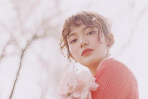 观《麦兜响当当》有感作文