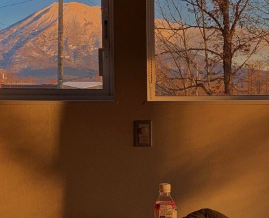 《青铜葵花》观后感