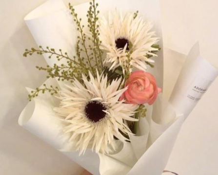 观看花儿为什么这样红观后感