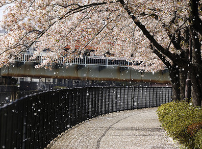 《长津湖》的观后感300字