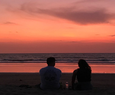 猩球崛起观后感1000字(合集15篇)