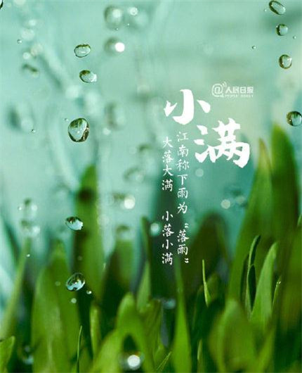 今天是雨水节气的短句