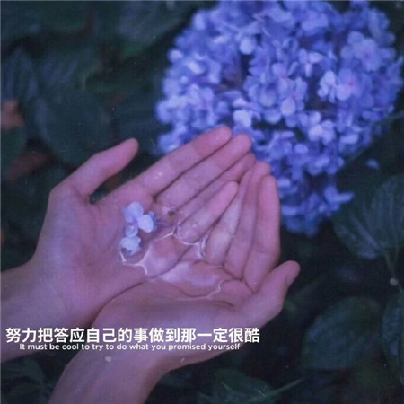 秋天的诗句景色美的诗句