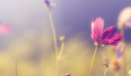 雨水节气祝福歌曲 雨水洗车的心情说说