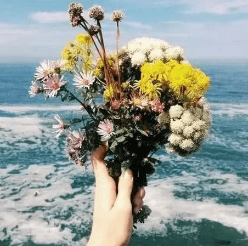 谷雨对朋友的祝福语